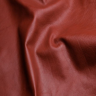 Garment Bison 