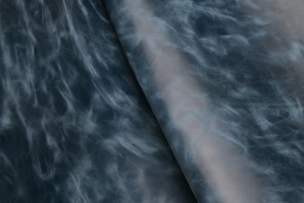 Mad Congo Blue Coral
