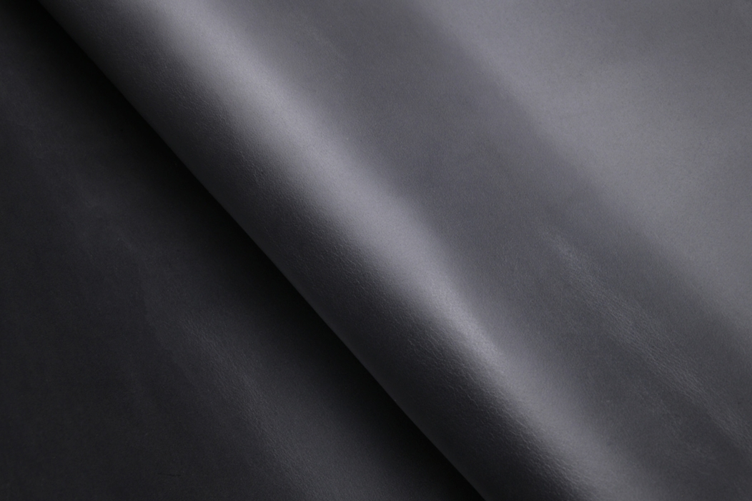 Tongass Future Grey